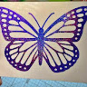 Meet your Posher, Louise